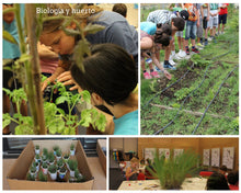 Cargar imagen en el visor de la galería, PRERESERVA Campamento espacial 2025
